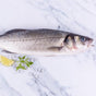 Sea Bass Sustainably Farmed (400 - 600g) - The Cornish Fishmonger