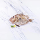 John Dory (500-750g)