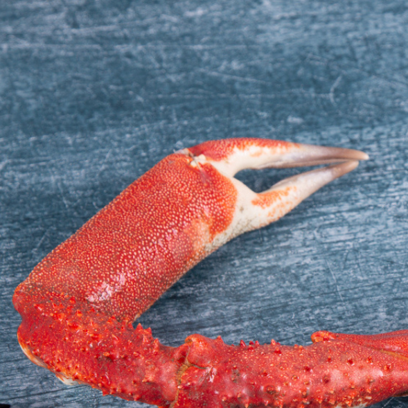 King Crab claws 1kg - The Cornish Fishmonger