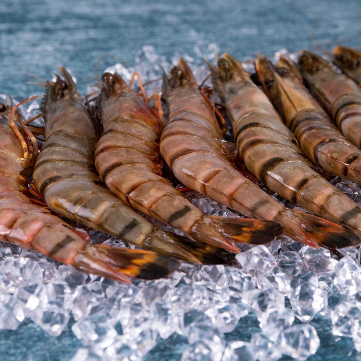 King Prawns XL (8-12 per box) 