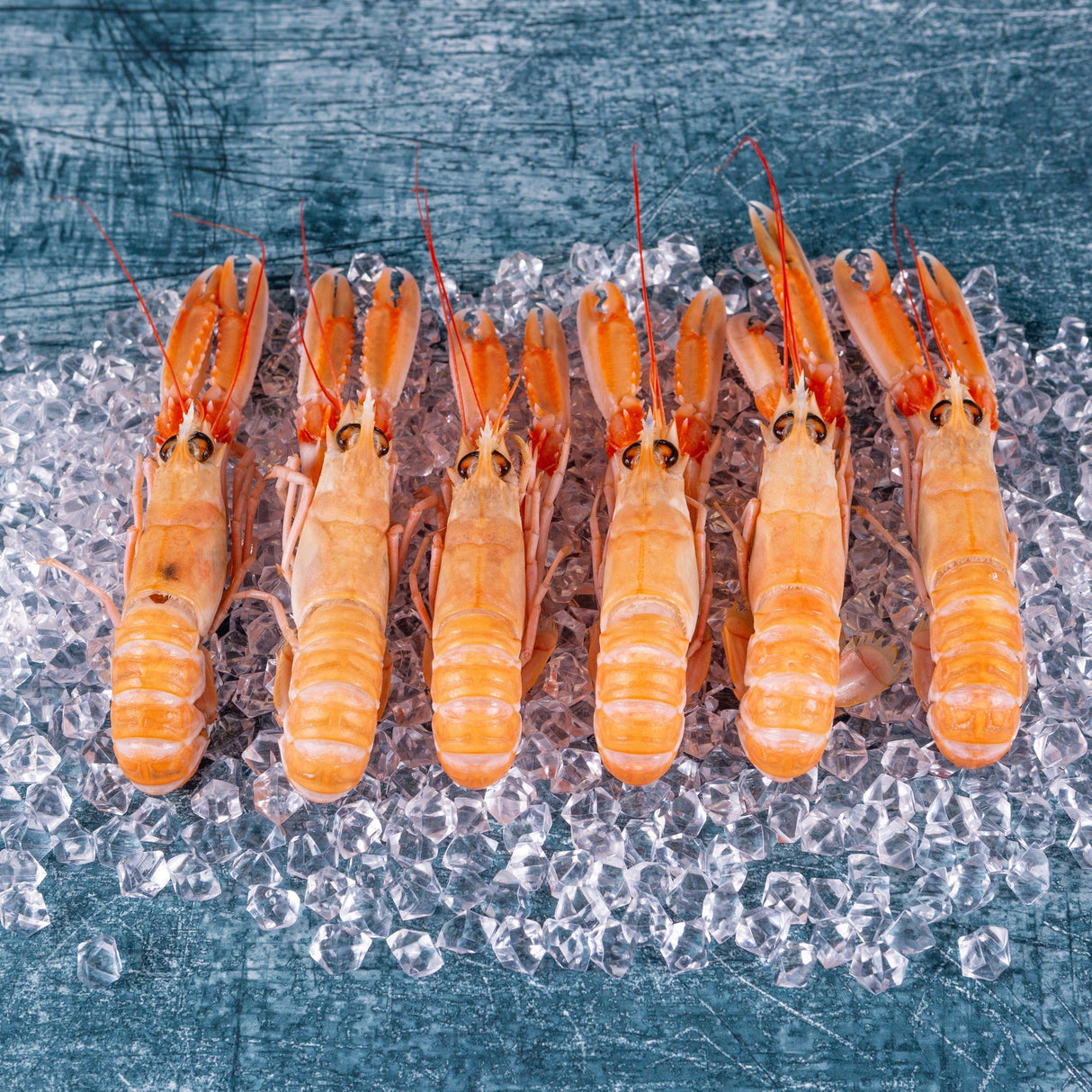 Langoustine (17-30 per box) - The Cornish Fishmonger