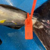 Bluefin Tuna - 2 x 150g-170g - The Cornish Fishmonger