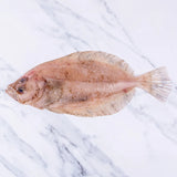 Cornish Sole (Megrim) 400 - 450g