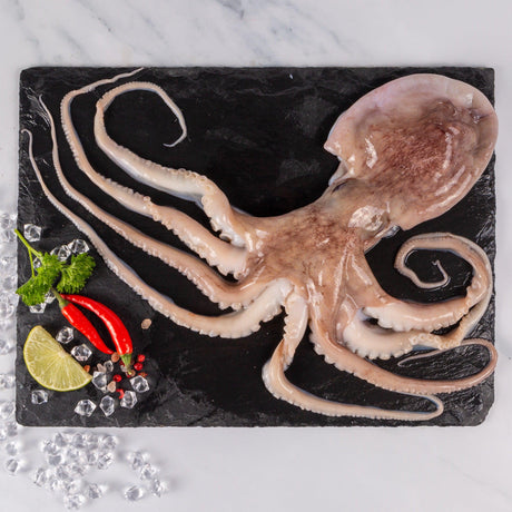 Octopus (1kg) - The Cornish Fishmonger