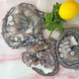 Octopus Tentacles Double Sucker