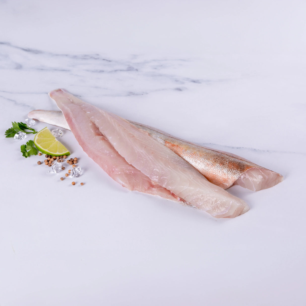 Gurnard (600 - 800g)