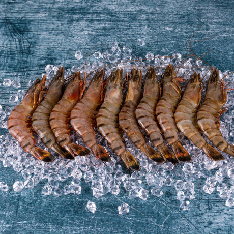 King Prawns Large (16-20 per box) - The Cornish Fishmonger