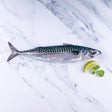 Mackerel 1kg - The Cornish Fishmonger