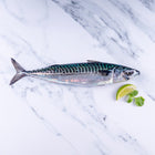 Mackerel 1kg