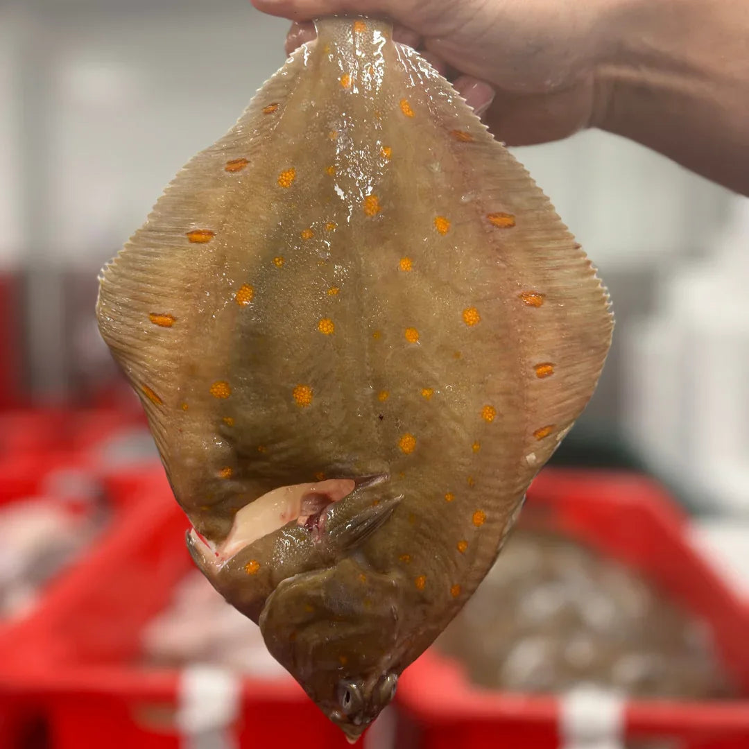 Plaice (300 - 400g)