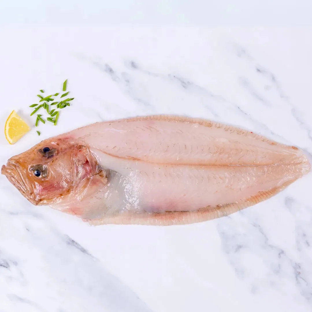 Buy Fresh Cornish Sole | Free UK Delivery | The Cornish Fishmonger