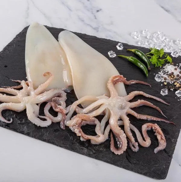 Squid - 1kg (please expect 50% of the 1kg pre-cleaned weight) Feeds 4 - The Cornish Fishmonger