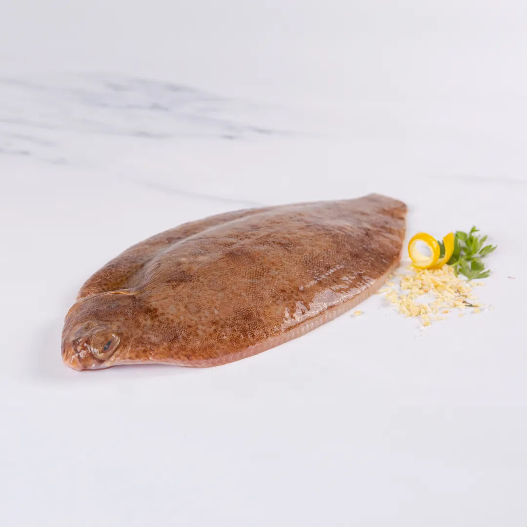 Lemon Sole (350 - 450g) - The Cornish Fishmonger