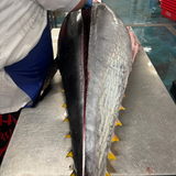 Cornish Bluefin Tuna Loin 500-600g