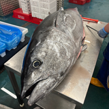 Cornish Bluefin Tuna Loin 500-600g