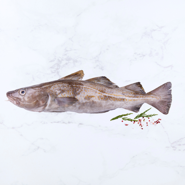 Cod Portions (2 x 120 - 140g)