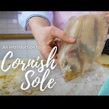 Cornish Sole (Megrim) 400 - 450g - The Cornish Fishmonger