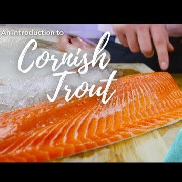 Trout (2 - 2.5kg) - The Cornish Fishmonger