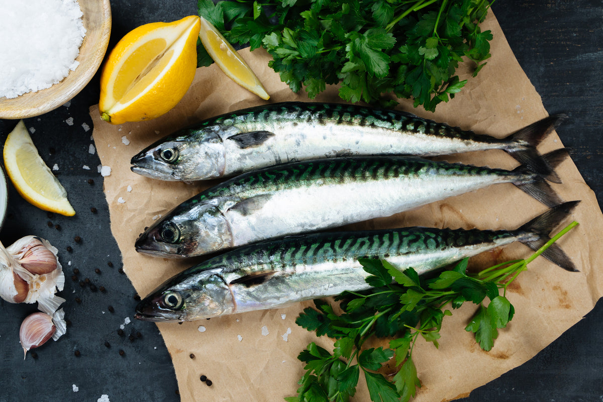 The Cornish Fishmonger - Fresh Fish and Seafood with FREE Delivery.