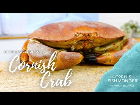 Buy Dressed Crab Online | Ready to Eat | The Cornish Fishmonger