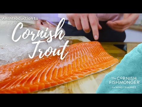 An introduction to Cornish Trout