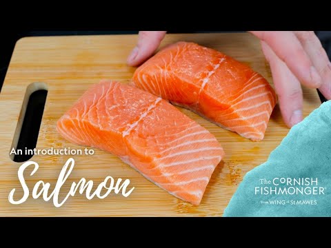 An introduction to Salmon