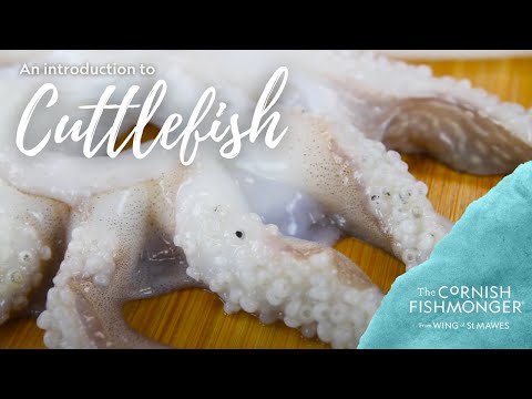 An introduction to Cuttlefish