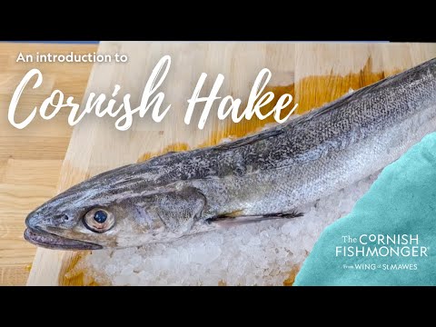 Hake portions (x2)