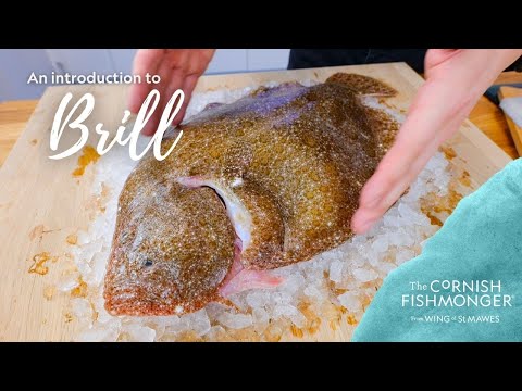 Brill (Cornish)