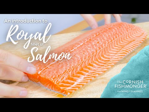 An introduction to the Royal Fillet of Salmon