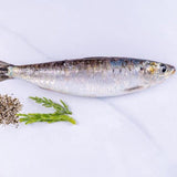 Sardines (1kg) - The Cornish Fishmonger