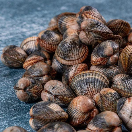 Cockles live -1kg - The Cornish Fishmonger