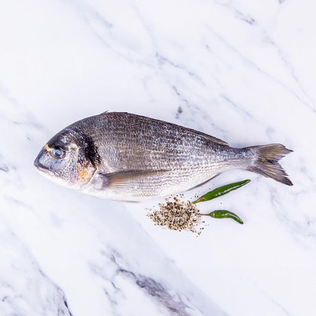 Gilt Head Bream (400 - 600g) - The Cornish Fishmonger