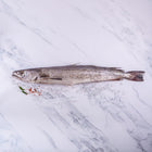 Hake (2 - 2.5kg)