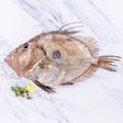 John Dory (500-750g) - The Cornish Fishmonger