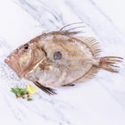 John Dory (500-750g)