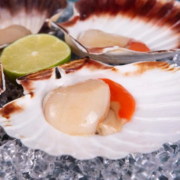 Surf N Turf Box - The Cornish Fishmonger