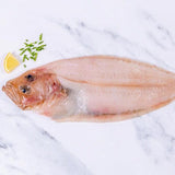 Cornish Sole (Megrim) 400 - 450g - The Cornish Fishmonger