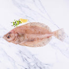 Cornish Sole (Megrim) 400 - 450g