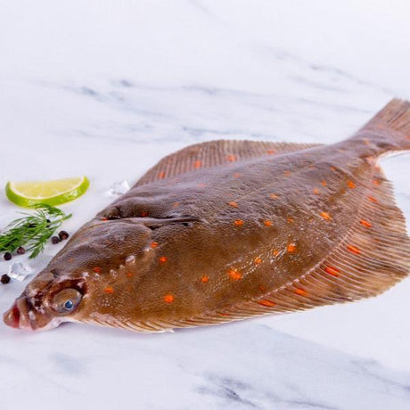 Plaice (300 - 400g) - The Cornish Fishmonger