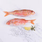 Cornish Red Mullet (x2 pack) - The Cornish Fishmonger