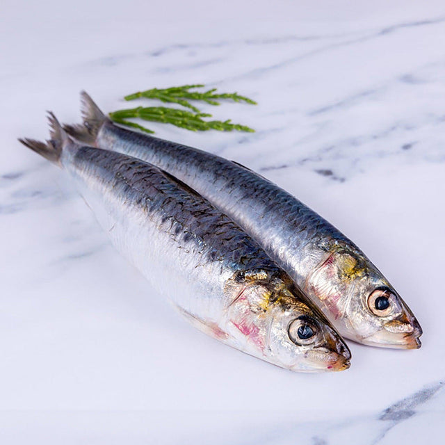 Sardines (1kg) - The Cornish Fishmonger