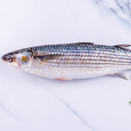 Mullet Silver (Grey) - The Cornish Fishmonger