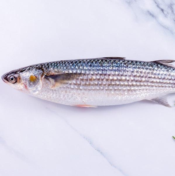 Grey Mullet - The Cornish Fishmonger