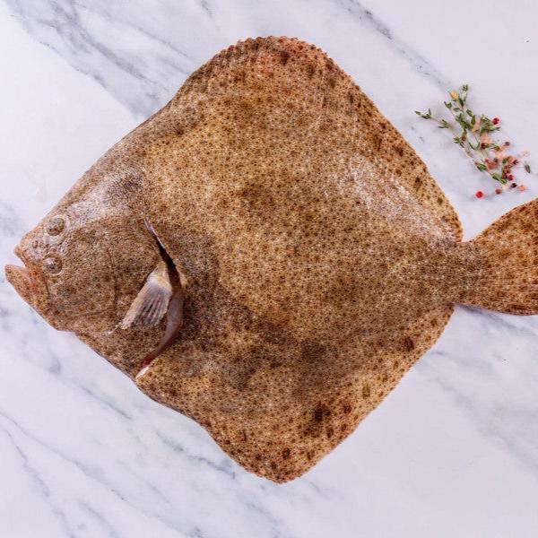 Turbot - The Cornish Fishmonger