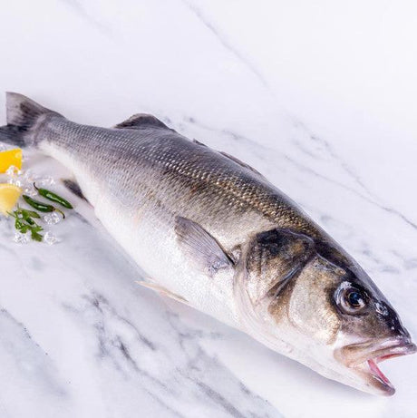 Sea Bass - wild, hook & line caught. - The Cornish Fishmonger