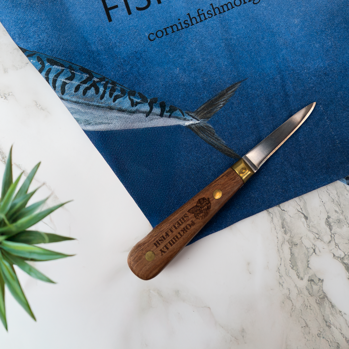 Oyster Shucking Knife from The Cornish Fishmonger