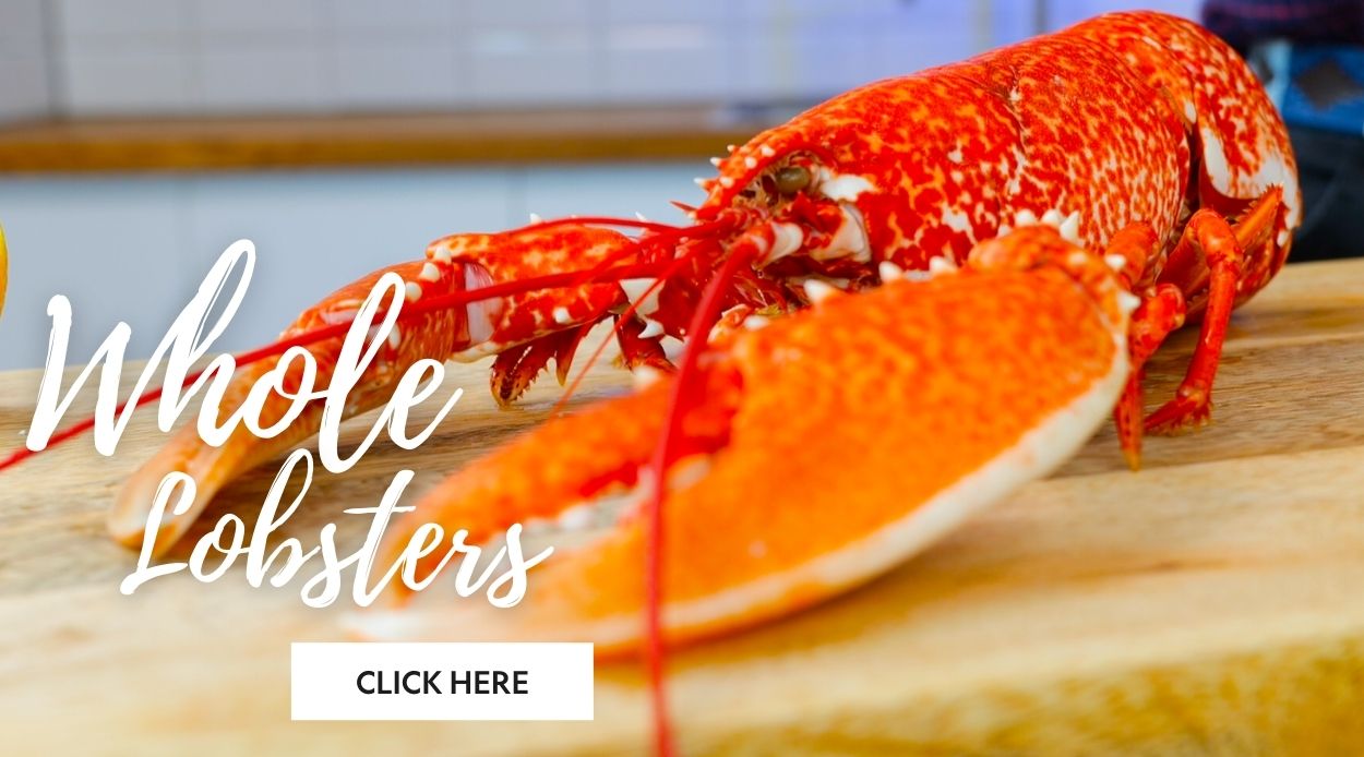 Whole Cornish Lobsters