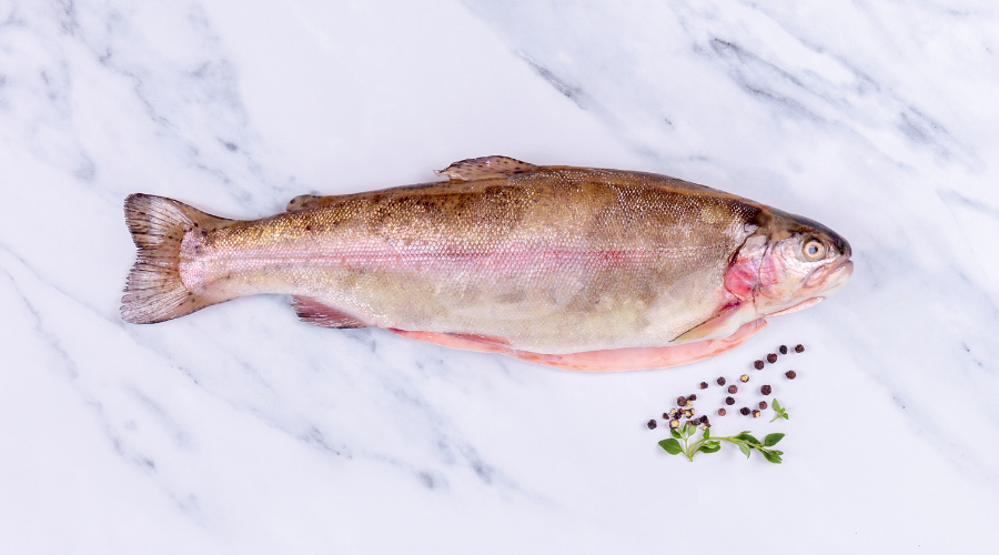 Buy Fresh Rainbow Trout Online, Locally Sourced