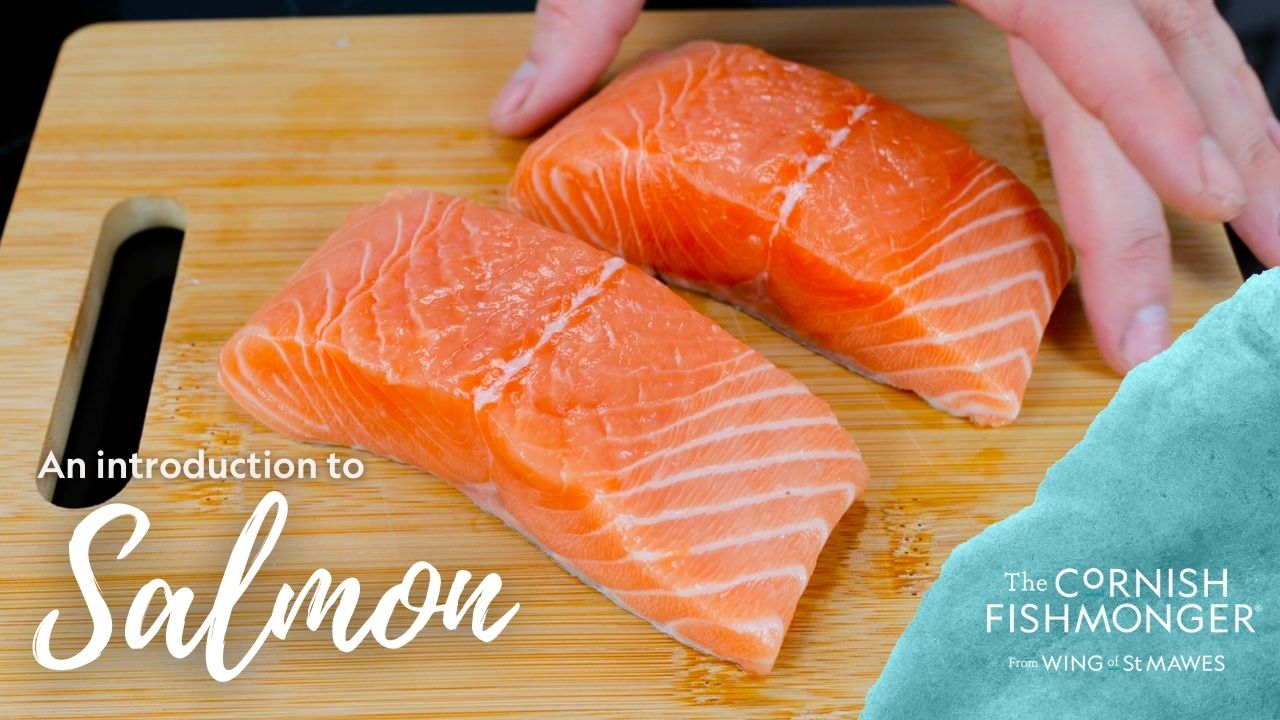 An introduction to Salmon | Free UK Next Day Delivery | The Cornish ...